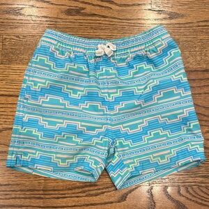 Chubbies Toddler Boy’s Swim Trunks- Size 4T